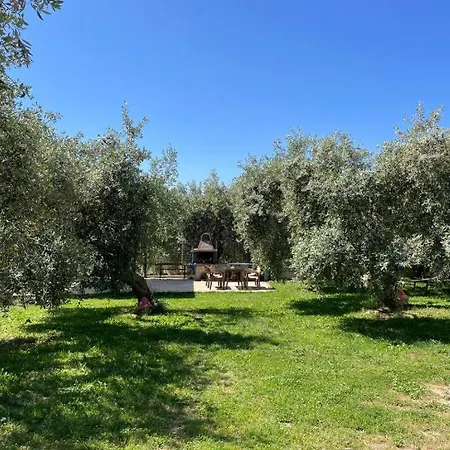 Hotel Discovery Limenaria (Thasos)